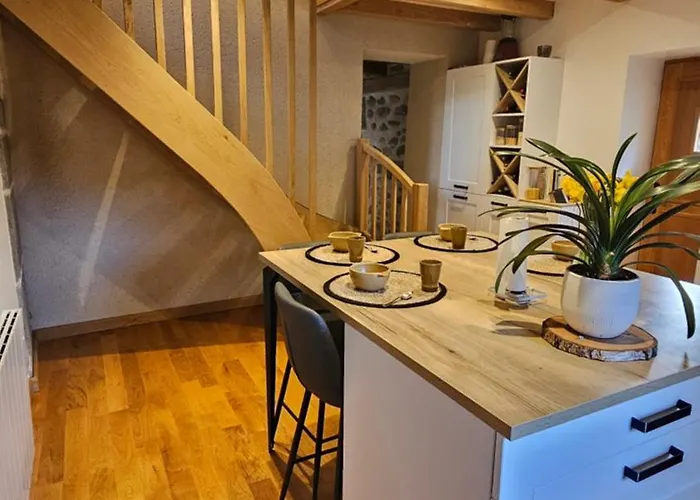 Belle Résidence Auvergnate Vue Panoramique Sur La Nature * Mandailles-Saint-Julien