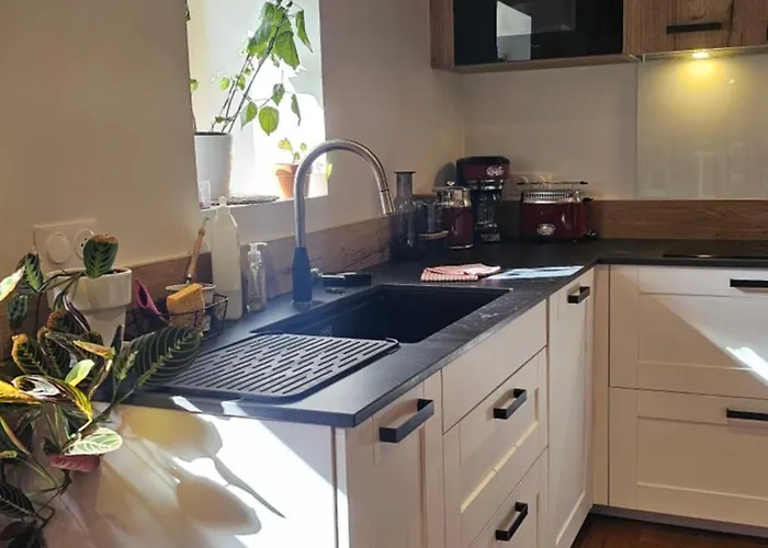 Appartement Belle Résidence Auvergnate Vue Panoramique Sur La Nature