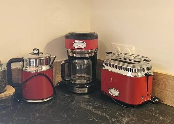 Appartement Belle Résidence Auvergnate Vue Panoramique Sur La Nature