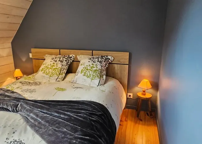 Appartement Belle Résidence Auvergnate Vue Panoramique Sur La Nature *